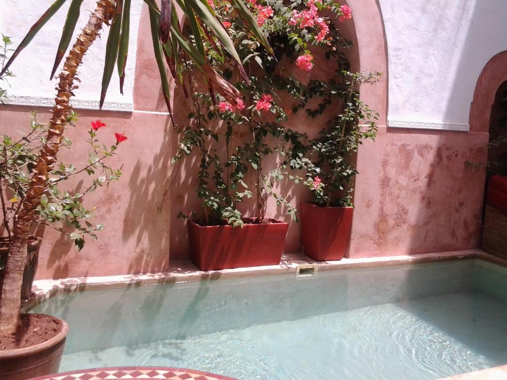 Ryad Dar Ganou Marrakesh Exterior photo