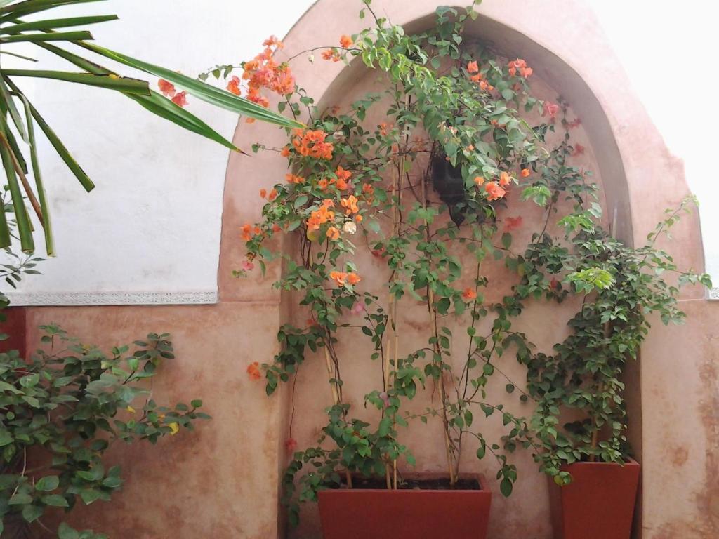 Ryad Dar Ganou Marrakesh Exterior photo